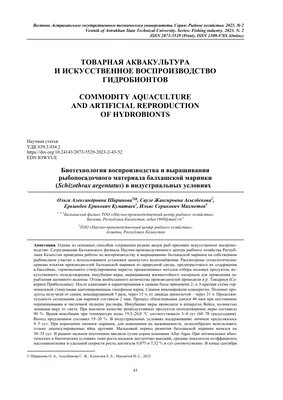 Полностью вымершая деревня Маринки. Дома, навсегда покинутые жителями |  Прекрасное рядом | Дзен