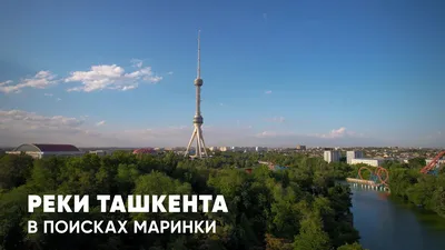 Вот бы на вечеринку к Маринке | Пикабу