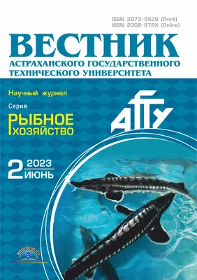 Сон Маринки\" чи \"Маринка в країні Королеви Страдіварі\". Ніна Найдич |  Book-on-Demand