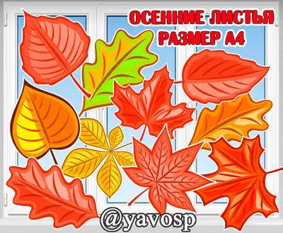 Осенние картинки для оформления #оформление #осень #картинки | Интересный  контент в группе Развитие детей | Осенние картинки, Сказочные иллюстрации,  Художественные промыслы