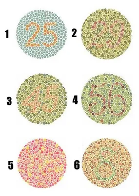 Тест для определения дальтонизма Test (Ишихара) Тест цветовой слепоты Japan  (ID#1855784355), цена: 2830 ₴, купить на Prom.ua