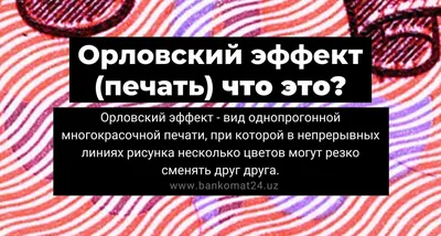 В День российской печати Владимир Солодов поблагодарил журналистов Камчатки  за преданность делу