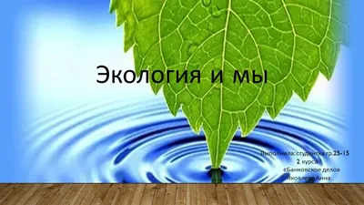 Презентация Сборника лучших практик в сфере экопросвещения. Практикум  номинации «Лучшая программа (проект) в сфере экопросвещения» конкурса  «Лидеры корпоративной благотворительности-2023», 28 июля — Новостной центр  – Форум Доноров | Ассоциация ...