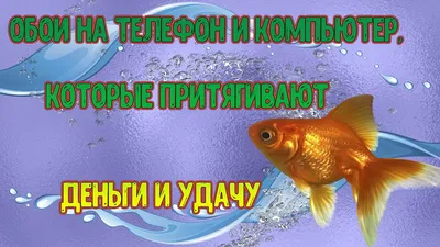 Как сделать амулет на деньги и удачу своими руками в домашних условиях