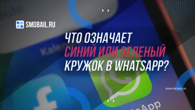 Прямая ссылка на WhatsApp есть в шапке профиля, просто один клик и вы  попадаете на переписку со мной 🙄 Неужели так сложно ?😾Зачем… | Instagram