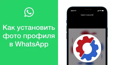 Как создать профиль в WhatsApp Business - YouTube