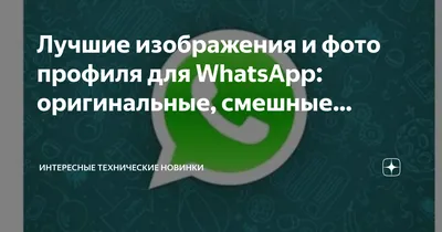 Изображение профиля психологии для WhatsApp Стоковое Фото - изображение  насчитывающей психология, профиль: 122365938