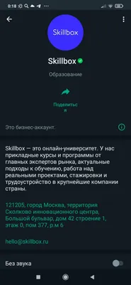 В WhatsApp можно будет создать подменный профиль — Ferra.ru