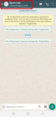 Бизнес-аккаунт в WhatsApp: что это и как с его помощью увеличить количество  клиентов?