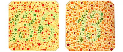 Как определить дальтонизм в домашних условиях? - энциклопедия Ochkov.net
