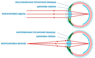 Как научиться видеть в стереокартинке изображение | kawir | Дзен