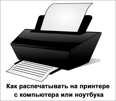 Гайд по принтерам и МФУ: технологии печати, СНПЧ, фотопечать, портативные  принтеры | Каталог цен E-Katalog