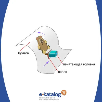 Как выбрать принтер для качественной печати - Лайфхакер