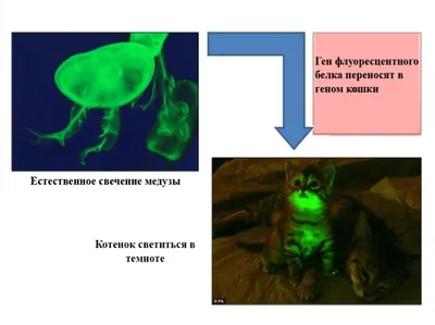 Настройка номеров слайдов в PowerPoint | Блог студии Visualmethod.ru