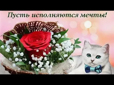 MIRSMS - Рассылка в соцсети Одноклассники