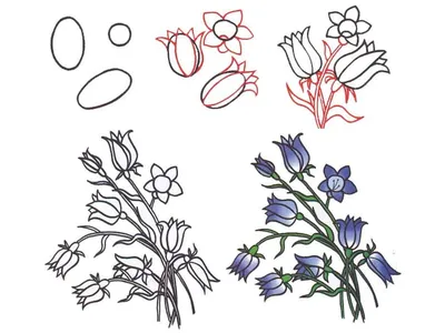 Рисунки цветы для срисовки: красивые картинки цветов карандашами и  фломастерами