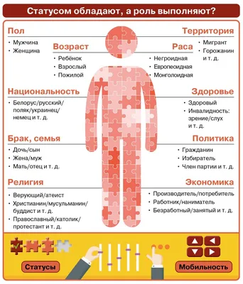 Что такое исследование иммунного статуса и какое лечение может быть  назначено по его результатам?