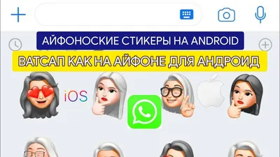 Как из любого фото создать стикер в WhatsApp: инструкция - Hi-Tech Mail.ru