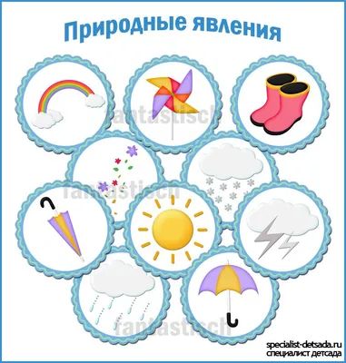 Купить Уголок природы стенд оборудован стрелками артикул 4147 недорого в  Украине с доставкой