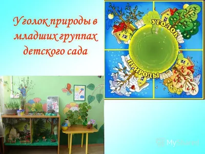 Купить специальное оборудование для уголка природы в школе с доставкой по  всей России