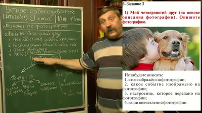 Все, что нужно знать 9-классникам для устного собеседования по русскому в  2021 году. | Роман Павлов | Дзен