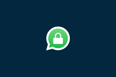 WhatsApp Blue 35.00 - Скачать для Android APK бесплатно