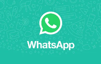 How to integrate WhatsApp on your website | Callbell