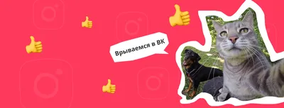 Создайте обложку для группы ВКонтакте онлайн бесплатно с помощью  конструктора Canva