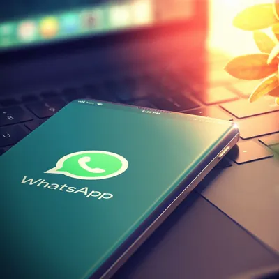 WhatsApp trick lets you read messages without opening app | The Independent