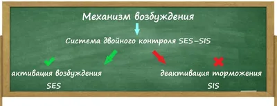 D'umor Рандеву Возбуждающие капли для возбуждения