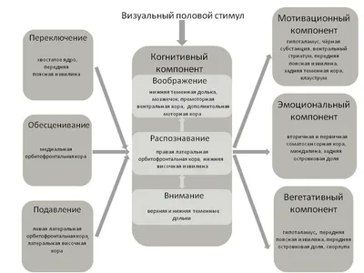 ПОВОДЫ И ОСНОВАНИЯ ДЛЯ ВОЗБУЖДЕНИЯ УГОЛОВНОГО ДЕЛА – тема научной статьи по  праву читайте бесплатно текст научно-исследовательской работы в электронной  библиотеке КиберЛенинка