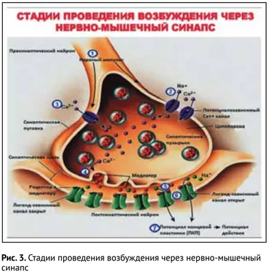 Синдром постоянного полового возбуждения | Пикабу