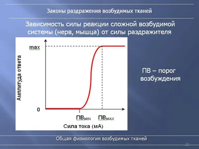 ПОНЯТИЕ И ЗНАЧЕНИЕ СТАДИИ ВОЗБУЖДЕНИЯ УГОЛОВНОГО ДЕЛА – тема научной статьи  по праву читайте бесплатно текст научно-исследовательской работы в  электронной библиотеке КиберЛенинка