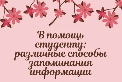 Как запоминать быстрее: простые методы запоминания