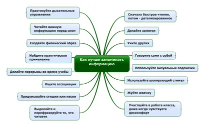 Законы памяти и техники запоминания информации