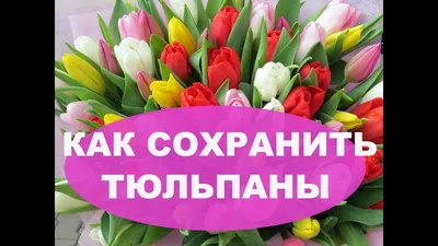 Наташа Кузина: СП \"Птичьи трели\". 1 этап. Открытка к 8 марта.