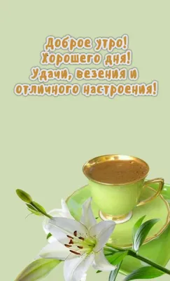 Доброе утро, друзья! Хорошего дня🤗 приятного отдыха и отличного настроения!  #goodmorning #доброеутро #воскресенье #отмечаем #выходные✌… | Instagram