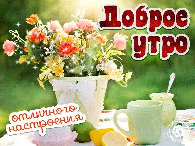 Всем доброе утро! 🍰☕🌞Отличного настроения и хорошего дня! 😉😊😊😊 # доброеутро#понедельник#работа#началонедели#утро | Instagram