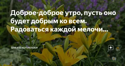 Оля Полякова - Доброе утро, дорогие мои! Всем приятного выходного дня, а мы  сегодня мчим в Полтаву на концерт. Ждем всех, собирайтесь вечером пошуметь  и горячо отшлепать друг друга в ДД «Листопад»