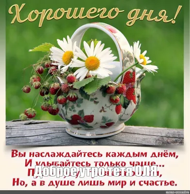 Olgа🌺🌿 on X: \"@OlgaLubimova7 Доброе утро, Ольга! ☕🌹🌿🌞  https://t.co/iMM84XfRUo\" / X