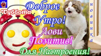 Добрейшего утра! Хорошего дня 🤗😊😜🌞🌞🌞🌈 #доброеутро #настроение # позитив #gudmorning #мантра #аффирмации #юмор #кофе #завтрак | Instagram