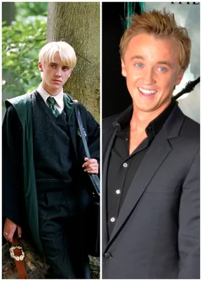 Драко Малфой | Draco harry potter, Harry potter draco malfoy, Draco malfoy  imagines