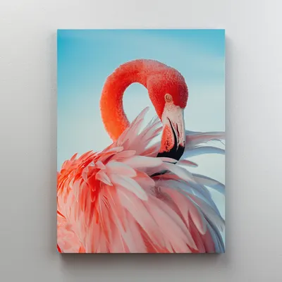 Книга \"Фламинго\" Робсон К - купить в Германии | BOOQUA.de
