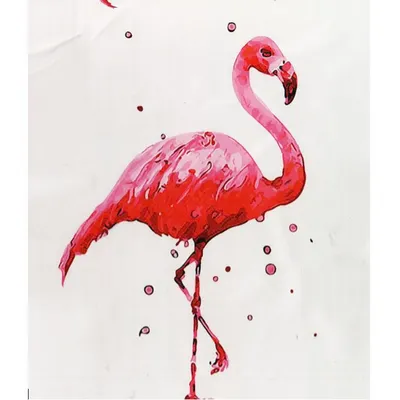Фотофакт: Розовые фламинго на Тузловских лиманах – Главное в Украине