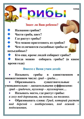 Нашла 7 грибов всего за 10 минут: раньше я даже не знала их названия (а вы  сможете узнать?) | Природа и не только | Дзен