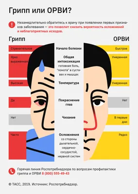 Грипп или ОРВИ? - Инфографика ТАСС