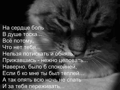 Не Осень в нашей грусти виновата , а лишь в душе отсутствие весны... |  Пикабу