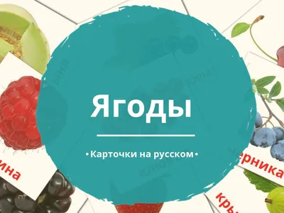 Сезон в разгаре»: какие ягоды и за сколько продают на рынке в Калининграде