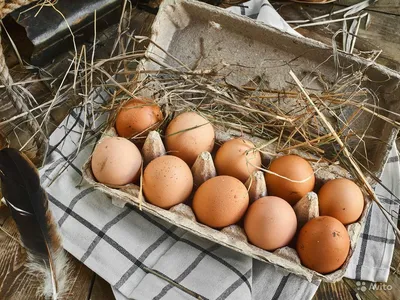 Яйца куриные столовые отборные 10 шт купить c доставкой на дом в  интернет-магазине КуулКлевер