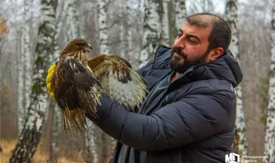 В Тамбове спасли ястреба-перепелятника со сломанным крылом